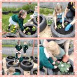  🌷🐝🌸 Green Fingers in the Nursery 🌷🐝🌸