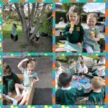 ☀️🌭☀️Sunshine, Sizzle and Smiles in the Nursery ☀️ 🌭☀️