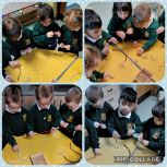 Bird Feeders in the Nursery